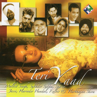 Thumbnail for the Malkit Singh - Teri Yaad link, provided by host site