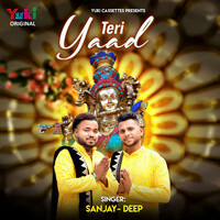 Thumbnail for the Sanjay - Teri Yaad link, provided by host site