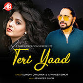 Thumbnail for the Sunidhi Chauhan - Teri Yaad link, provided by host site