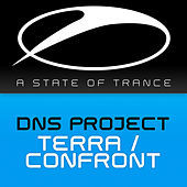 Thumbnail for the DNS Project - Terra / Confront link, provided by host site