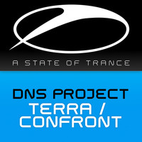 Thumbnail for the DNS Project - Terra / Confront link, provided by host site