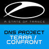 Thumbnail for the DNS Project - Terra / Confront link, provided by host site