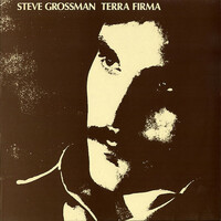 Thumbnail for the Steve Grossman - Terra Firma link, provided by host site