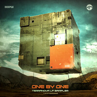 Thumbnail for the oneBYone - Terranova (sampler) link, provided by host site