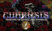 Thumbnail for the Cubensis - Terrapin Crossroads link, provided by host site