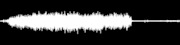 Thumbnail for the Stu Allen and Mars Hotel - Terrapin Crossroads - Bar link, provided by host site