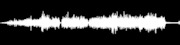 Thumbnail for the Stu Allen and Mars Hotel - Terrapin Crossroads - Bar link, provided by host site
