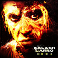 Thumbnail for the Kalash l'Afro - Terre brulée link, provided by host site