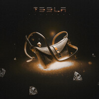 Thumbnail for the Salvador - Tesla link, provided by host site