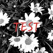 Thumbnail for the Mariusx - Test link, provided by host site