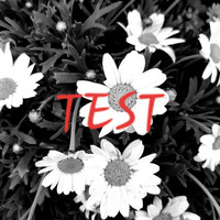Thumbnail for the Mariusx - Test link, provided by host site