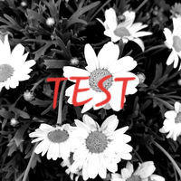Thumbnail for the Mariusx - Test link, provided by host site