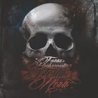 Thumbnail for the Furax Barbarossa - Testa Nera link, provided by host site