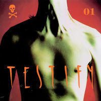 Thumbnail for the Testify - Testify 01 link, provided by host site