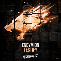 Thumbnail for the Endymion - Testify link, provided by host site