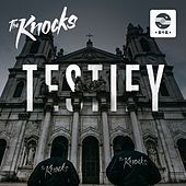 Thumbnail for the The Knocks - Testify link, provided by host site