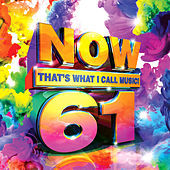 Thumbnail for the Citizen Four - Testify (NOW What's Next!) link, provided by host site