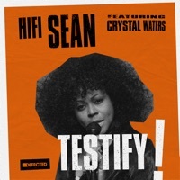 Thumbnail for the Hifi Sean - Testify [Sandy Rivera Main Mix Edit] link, provided by host site
