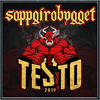 Thumbnail for the Soppgirobygget - Testo 2019 link, provided by host site