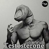 Thumbnail for the John Wolf - Testosterone link, provided by host site