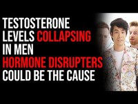 Thumbnail for the Timcast - Testosterone Levels Are Collapsing In Men, Hormone Disrupters In Our Water Could Be The Cause link, provided by host site