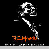 Thumbnail for the Tete Montoliu - Tete Montoliu - Sus Grandes Éxitos link, provided by host site