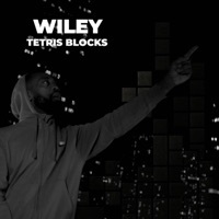 Thumbnail for the Wiley - Tetris Blocks link, provided by host site