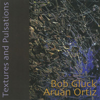 Thumbnail for the Bob Gluck - Textures and Pulsations link, provided by host site