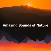 Image of Sounds Of Nature linking to their artist page due to link from them being at the top of the main table on this page