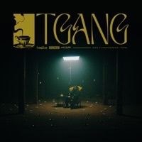 Thumbnail for the Louyah - TGANG link, provided by host site