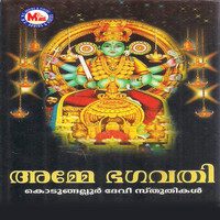 Thumbnail for the Unnikrishnan - Thaanaro Thannaro link, provided by host site