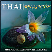 Thumbnail for the Estudios Talkback - Thai Relajación. Música Tailandesa Relajante   link, provided by host site