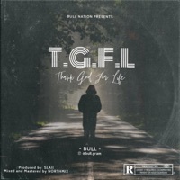 Thumbnail for the Bull - Thank God for life (TGFL) link, provided by host site