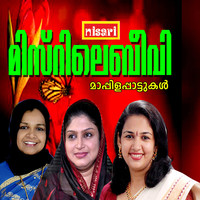 Thumbnail for the Sindhu Premkumar - Tharivalakalkk link, provided by host site