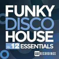 Thumbnail for the Disko Junkie - That Disko Feelin' - Dub Mix link, provided by host site