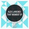 Thumbnail for the Alex Larichev - That Moment link, provided by host site