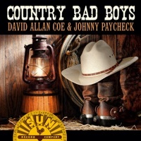 Thumbnail for the David Allan Coe - That Old Time Feeling link, provided by host site