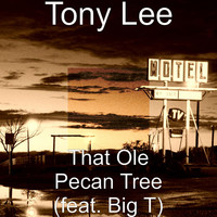 Thumbnail for the Tony Lee - That Ole Pecan Tree link, provided by host site