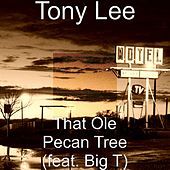 Thumbnail for the Tony Lee - That Ole Pecan Tree link, provided by host site
