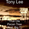 Thumbnail for the Tony Lee - That Ole Pecan Tree link, provided by host site
