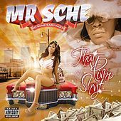 Thumbnail for the Mr. Sche - That Pimp Shyt link, provided by host site