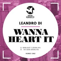 Thumbnail for the Leandro Di - That Sound link, provided by host site