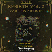 Thumbnail for the Fantom Freq - That Sound (Radio Edit) link, provided by host site