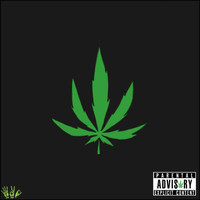 Thumbnail for the Exl - The 420 Tape link, provided by host site