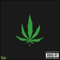 Thumbnail for the Exl - The 420 Tape link, provided by host site