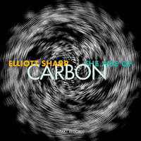 Thumbnail for the Elliott Sharp - The Age of Carbon link, provided by host site