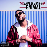 Thumbnail for the enimaL - The Amalgamation of Enimal link, provided by host site