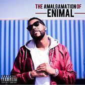 Thumbnail for the enimaL - The Amalgamation of Enimal link, provided by host site
