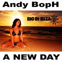 Thumbnail for the Andy Boph - The Andy BopH link, provided by host site