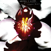 Thumbnail for the Chrysta Bell - The Answers to The Questions link, provided by host site